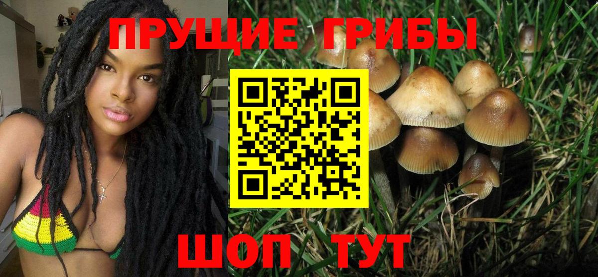 Полевской  сколько стоит  Псилоцибиновые грибы мухоморы  Вход с VPN  Псилоцибиновые грибы мицелий 